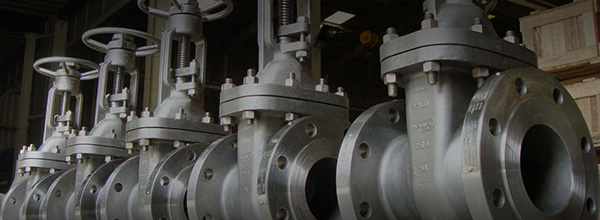Sealing Solutions Kimberley: PRODUCTS - Valves